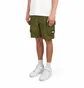 Шорти унісекс The North Face Nse Cargo Short Olive NF0A879RPIB