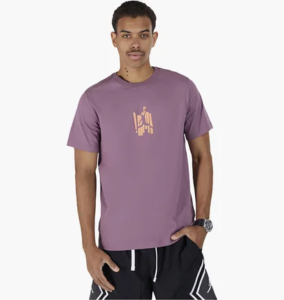 Футболка мужская Air Jordan Brand Graphic Tee Violet FD7025-508