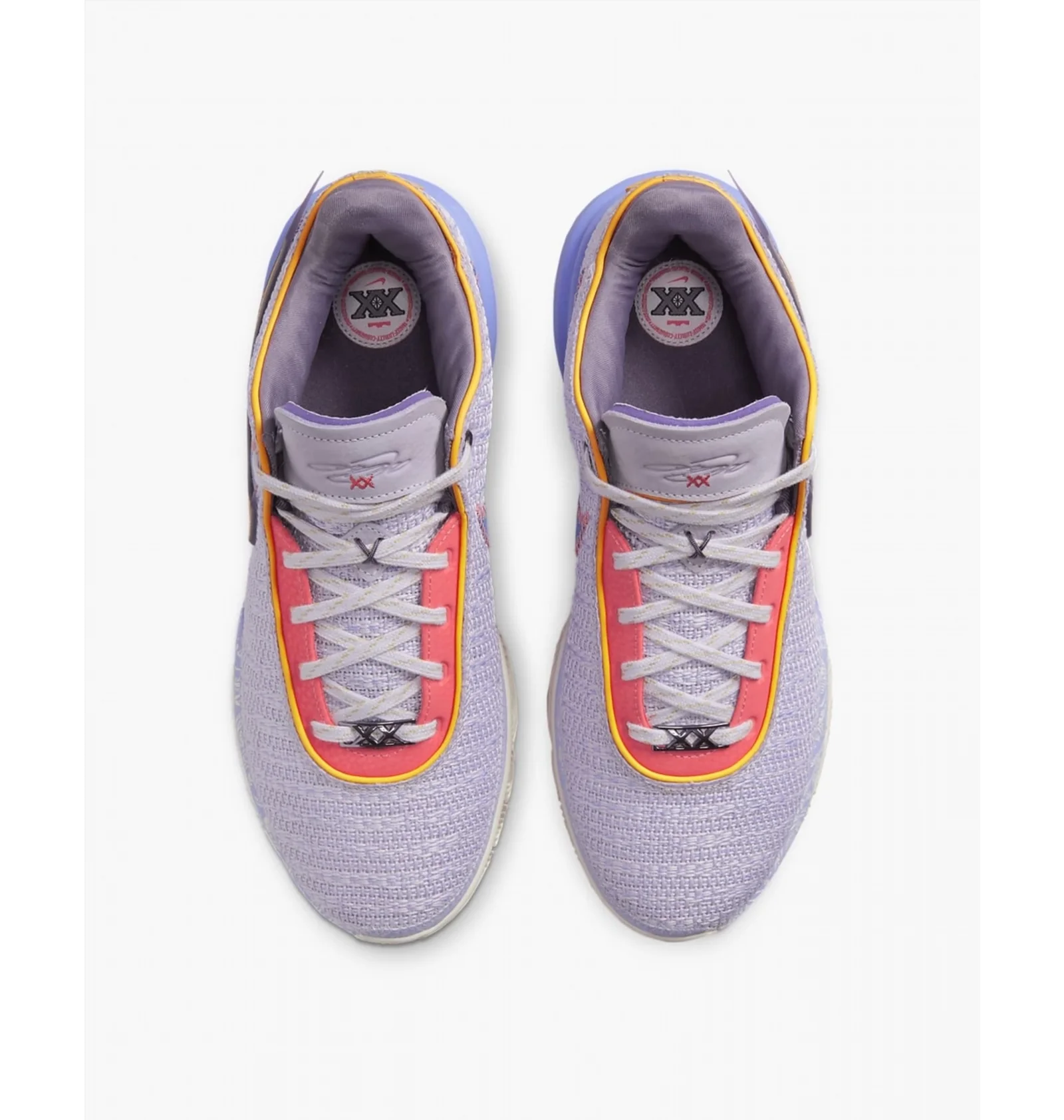 ᐉ Кроссовки мужские Nike Lebron 20 Violet Dj5423-500 - купить в