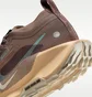 Кросівки унісекс Nike Pegasus Trail 5 Gtx Brown FQ0912-200