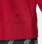 Худи мужское Air Jordan Mens French Terry Pullover Hoodie Red Dj0634-687