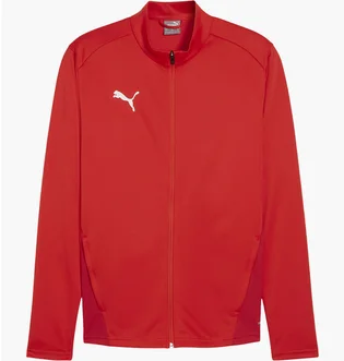 Олимпийка мужская Puma Teamgoal Rood Red 658633-01