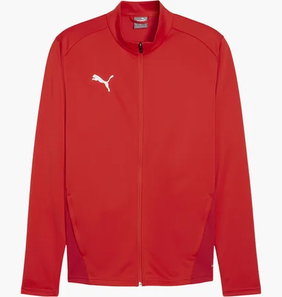 Олимпийка мужская Puma Teamgoal Rood Red 658633-01