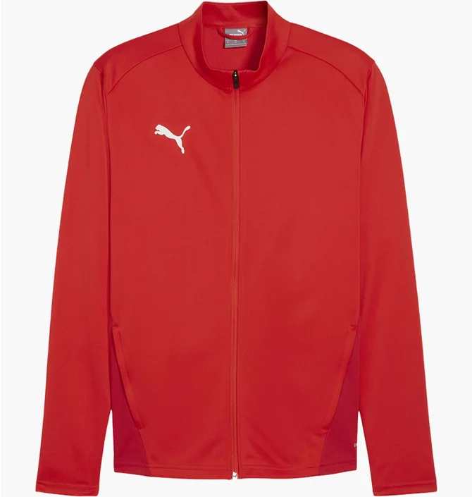 Олимпийка мужская Puma Teamgoal Rood Red 658633-01