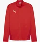 Олимпийка мужская Puma Teamgoal Rood Red 658633-01
