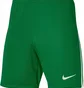Шорты мужские Nike Shorts League Iii Knit Short Green DR0960-302