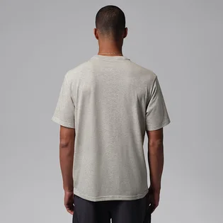 Футболка мужская Air Jordan Sport Grey IB6757-050