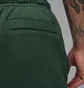 Штани чоловічі Air Jordan Flight Fleece Green FV7251-316
