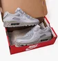 Кросівки чоловічі Nike Air Max 90 Grey CN8490-012