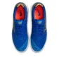 Футзалки мужские Nike Lunargoto Ii Blue HV4017-400