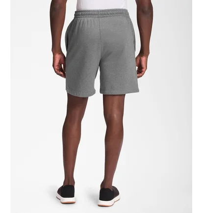 Шорты мужские The North Face Ox 7 Inseam Nse Short Grey NF0A811YGVD
