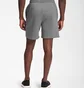 Шорты мужские The North Face Ox 7 Inseam Nse Short Grey NF0A811YGVD