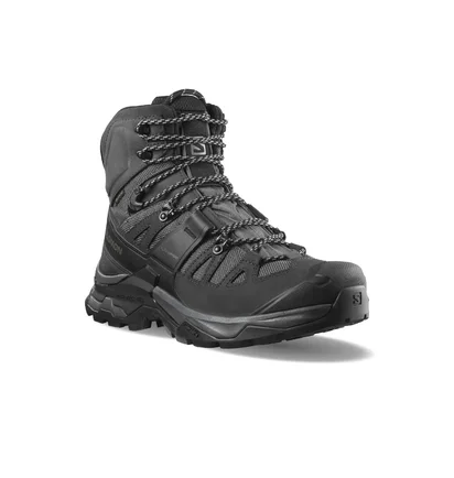 Ботинки мужские Salomon Quest 4 Gtx Black L41292600