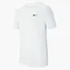 Футболка мужская Nike Dry Tee Dfc Crew Solid White AR6029-100