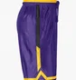 Шорты мужские Nike Los Angeles Lakers Courtside Violet/Yellow Dr9350-728