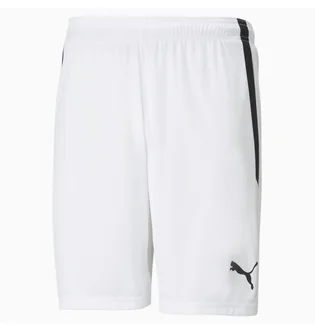 Шорти чоловічі Puma Teamliga White 704924-04
