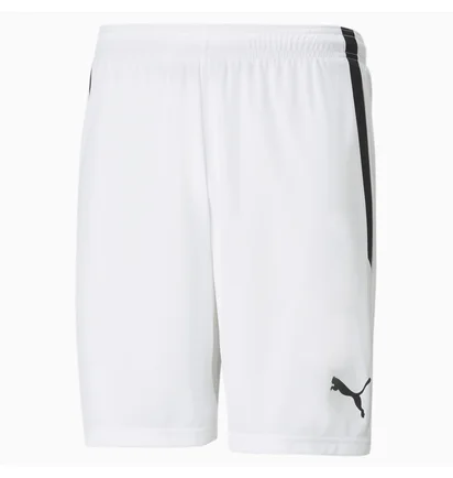 Шорти чоловічі Puma Teamliga White 704924-04
