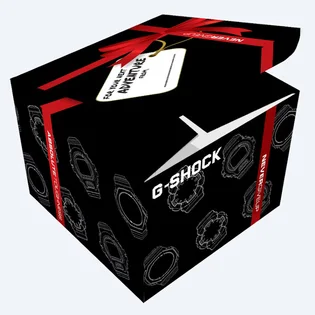 Часы мужские Casio G-Shock 5000 Series DW-5040RX-7ER