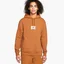 Худи мужское Air Jordan M J Ess Stmt Flc Po Orange DA9816-241