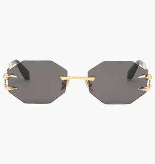 Солнцезащитные очки Roberto Cavalli Grey/Gold SRC005-0300-59-19