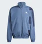 Футболка чоловіча Adidas Dres Sportswear Colorblock Blue IP3111