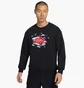 Свитшот мужской Air Jordan M J Ess Stmt Flc Gfx Crew Black Dh9035-010