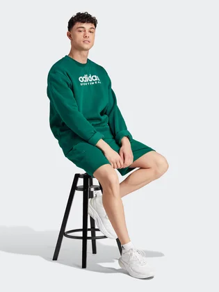 Свитшот мужской Adidas Sportswear All Szn Graphic Sweatshirt Green IJ9440