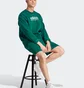 Свитшот мужской Adidas Sportswear All Szn Graphic Sweatshirt Green IJ9440