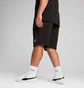 Шорты мужские Puma Essential Logo Black 682600-01