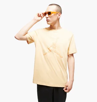 Футболка мужская Air Jordan Ess Ss Crew 3 Yellow DX9581-251