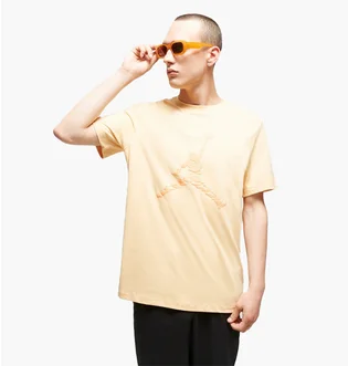 Футболка мужская Air Jordan Ess Ss Crew 3 Yellow DX9581-251