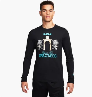 Лонгслив мужской Nike T-Shirtlebron Black FQ4908-010