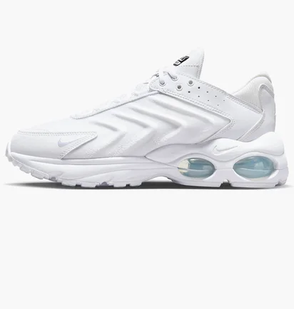 Кросівки чоловічі Nike Air Max Tw MenS Shoes White DQ3984-102
