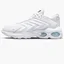 Кросівки чоловічі Nike Air Max Tw MenS Shoes White DQ3984-102