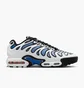 Кроссовки мужские Nike Air Max Plus Drift White/Blue FD4290-102