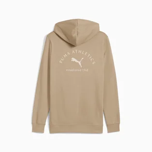 Худи мужское Puma Class Graphic Beige 688221-55