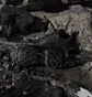 Кросівки чоловічі Adidas Terrex Skychaser Ax5 Gore-Tex Black JQ2210