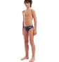 Плавки мужские Arena Snakeskin Swim Briefs Blue 010162-700