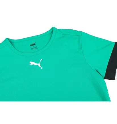 Футболка мужская Puma Teamrise Jersey Green 704932-05