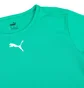 Футболка мужская Puma Teamrise Jersey Green 704932-05