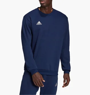 Свитшот мужской Adidas Sweatshirt Ent22 Sw Top Blue H57480