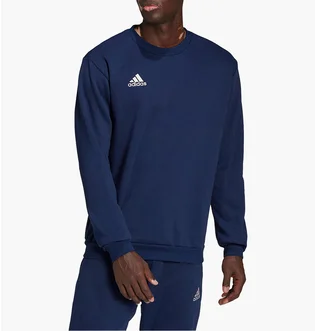 Свитшот мужской Adidas Sweatshirt Ent22 Sw Top Blue H57480