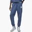 Штаны мужские Air Jordan Essential Blue Dr3089-493