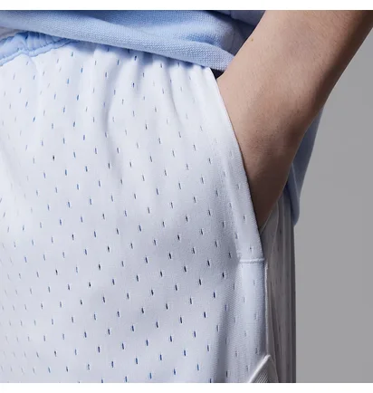 Шорты мужские Air Jordan Sport Dri-Fit Diamond Light Blue 95D313-J3H