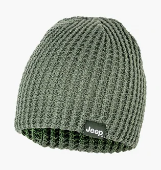 Шапка унисекс Jeep Reversible Tricot Hat J22W Green O102597-E846