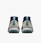 Кроссовки мужские Nike React Pegasus Trail 4 Gtx Beige Dj7926-100