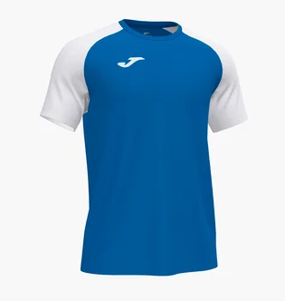 Футболка чоловіча Joma Academy Iv Blue/White 101968.702