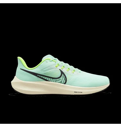 Кроссовки мужские Nike Air Zoom Pegasus 39 Light Blue Dh4071-301