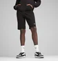Шорти чоловічі Puma Ess 2 Color No. 1 Logo Shorts 10 Terry Black 684715-51