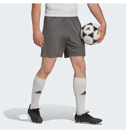 Шорты мужские Adidas Entrada 22 Shorts Grey H57505